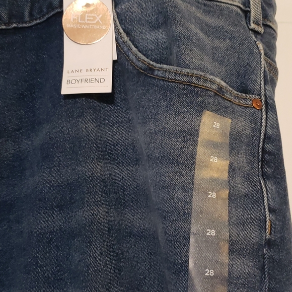 Lane Bryant Boyfriend Low Rise Jeans - Picture 7 of 16
